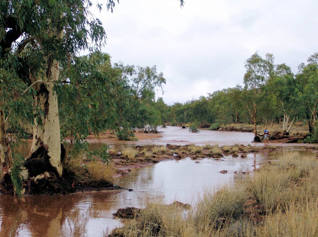 Looking south down Todd River as it spills across Tuncks Road, 8 Jan 2010