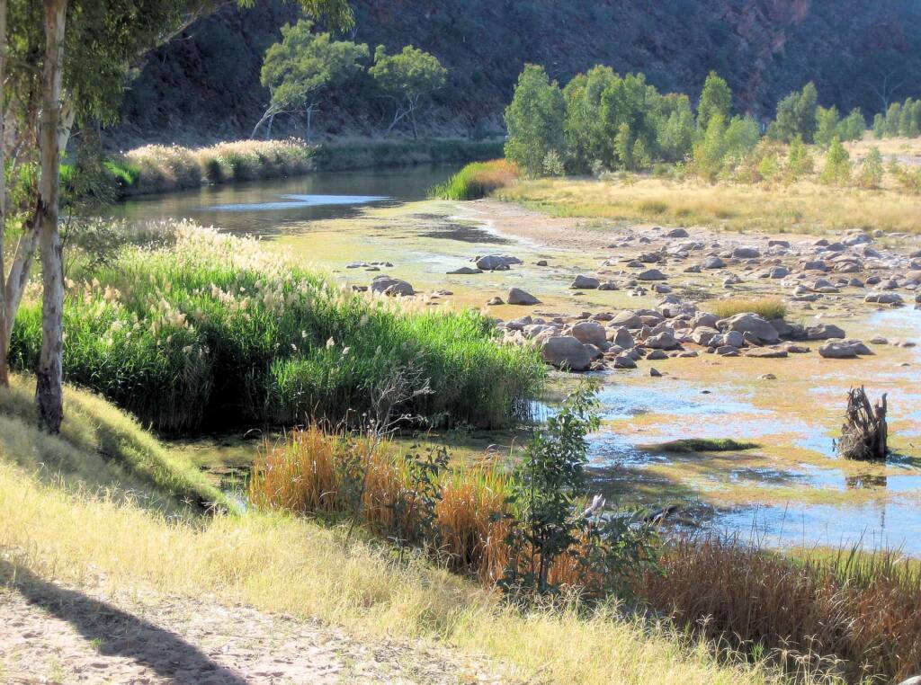 Boggy Hole (Finke Gorge National Park)