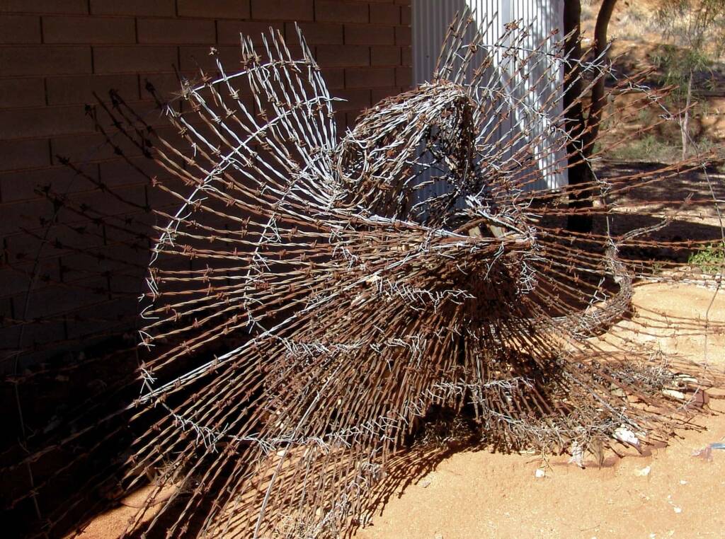 Comet by Dan Murphy - Barbed wire and galvanised metal, 1995 Araluen Collection