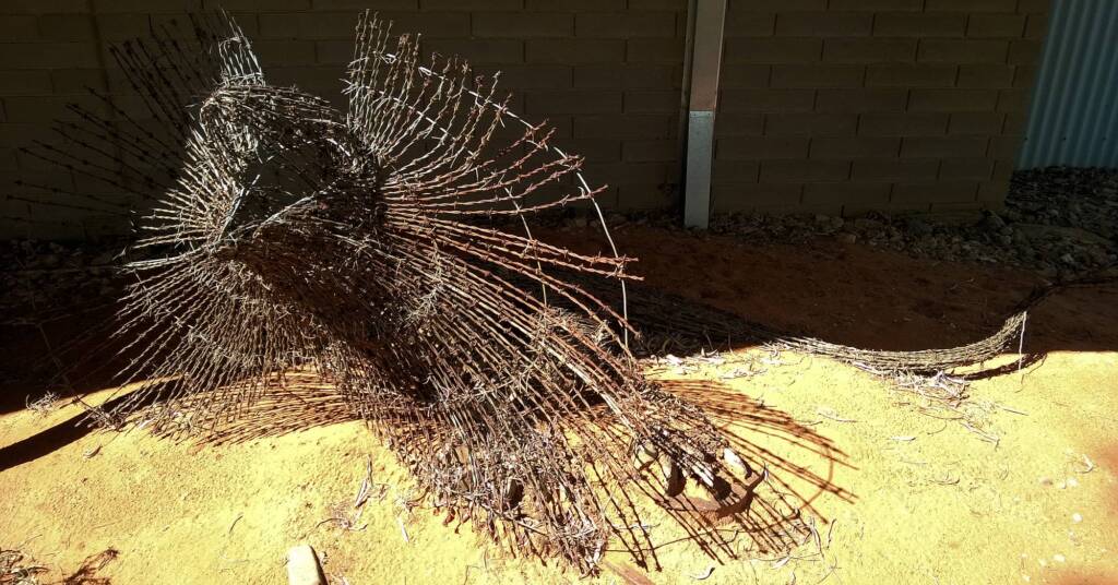 Comet by Dan Murphy - Barbed wire and galvanised metal, 1995 Araluen Collection