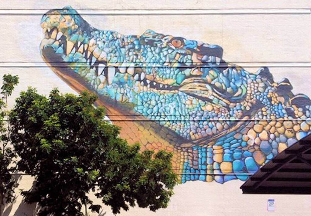 Darwin Street Art