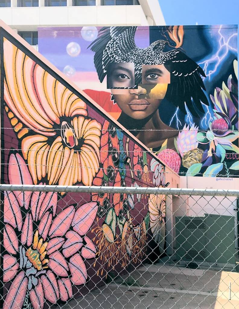 Darwin Street Art