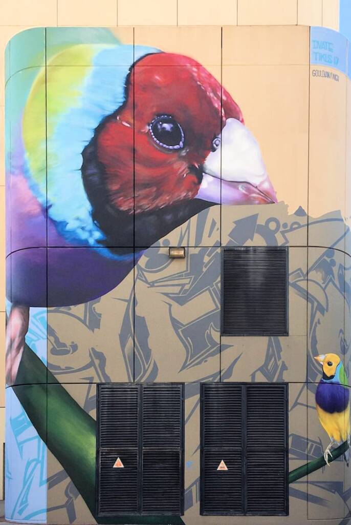 Darwin Street Art