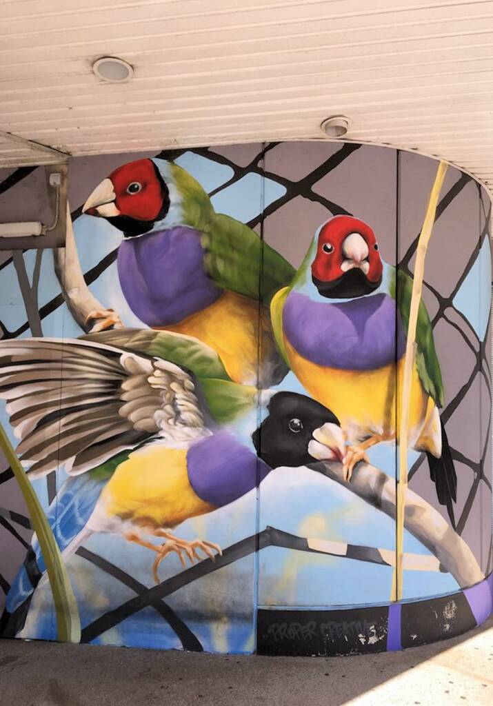 Darwin Street Art