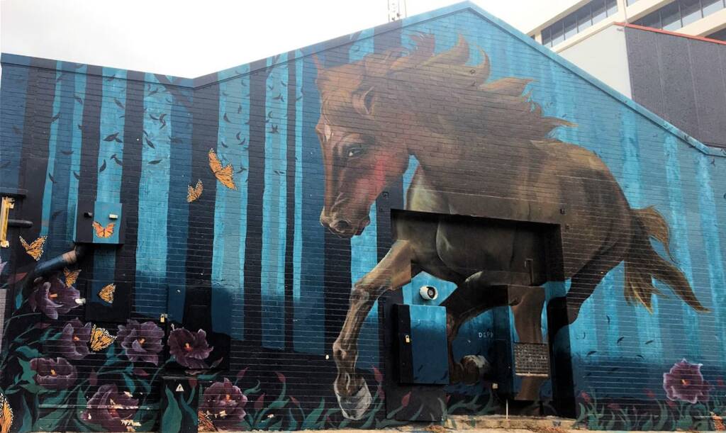 Darwin Street Art