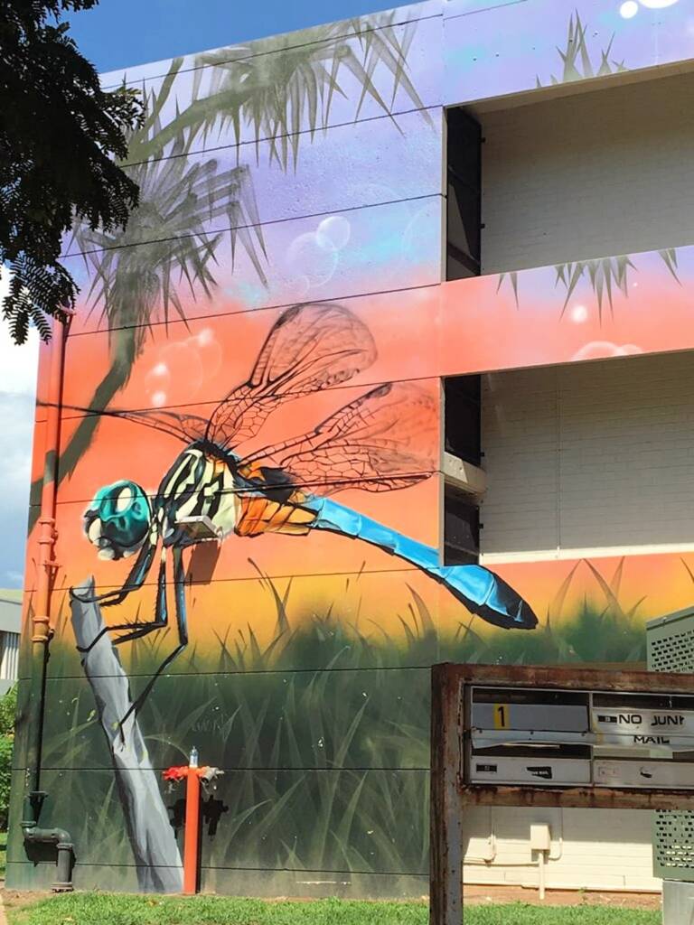 Darwin Street Art