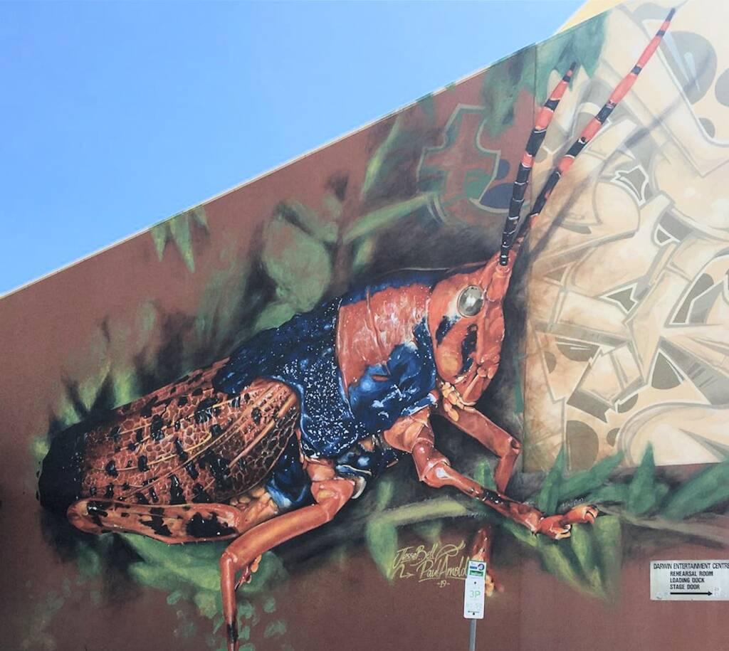 Darwin Street Art