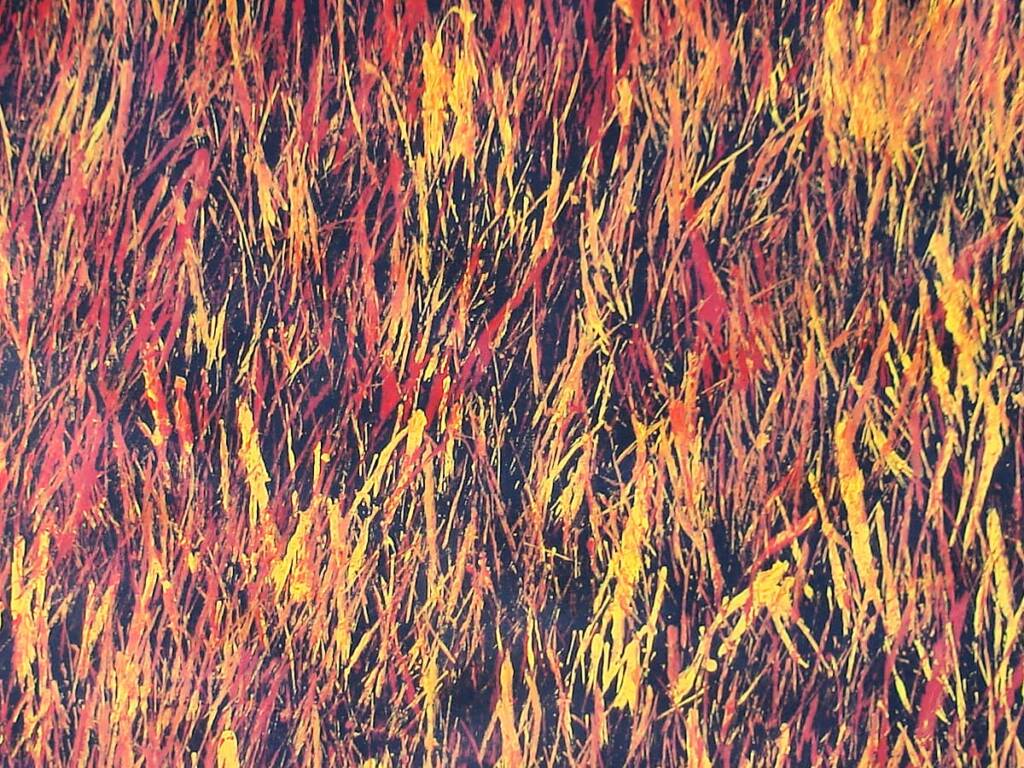 Tjanpi Kampanyi (closeup) - Trephina Sultan Thanguwa