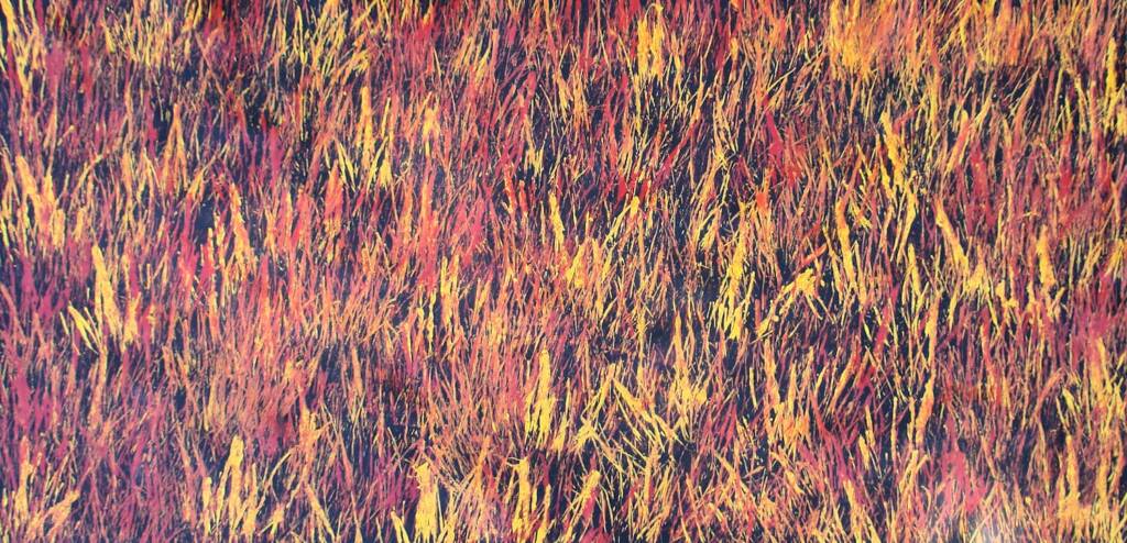 Tjanpi Kampanyi (Burning Grass), 2007 © Trephina Sultan Thanguwa