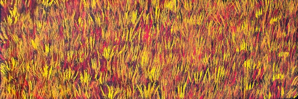 Tjanpi Kampanyi (Burning Grass), 2007 © Trephina Sultan Thanguwa