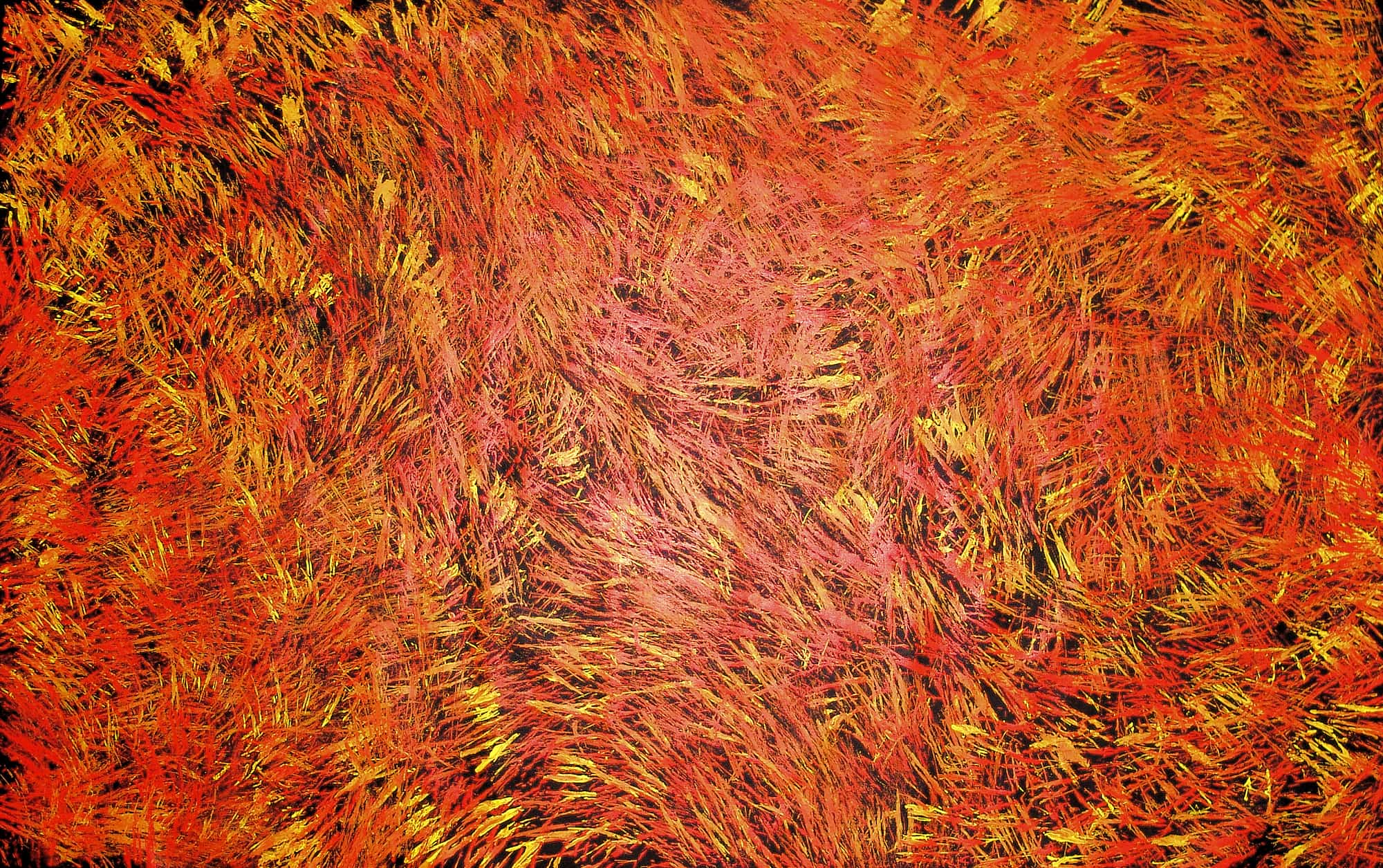 Tjanpi Kampanyi (Burning Grass), 2007 (185 cm x 116 cm) - Trephina Sultan Thanguwa