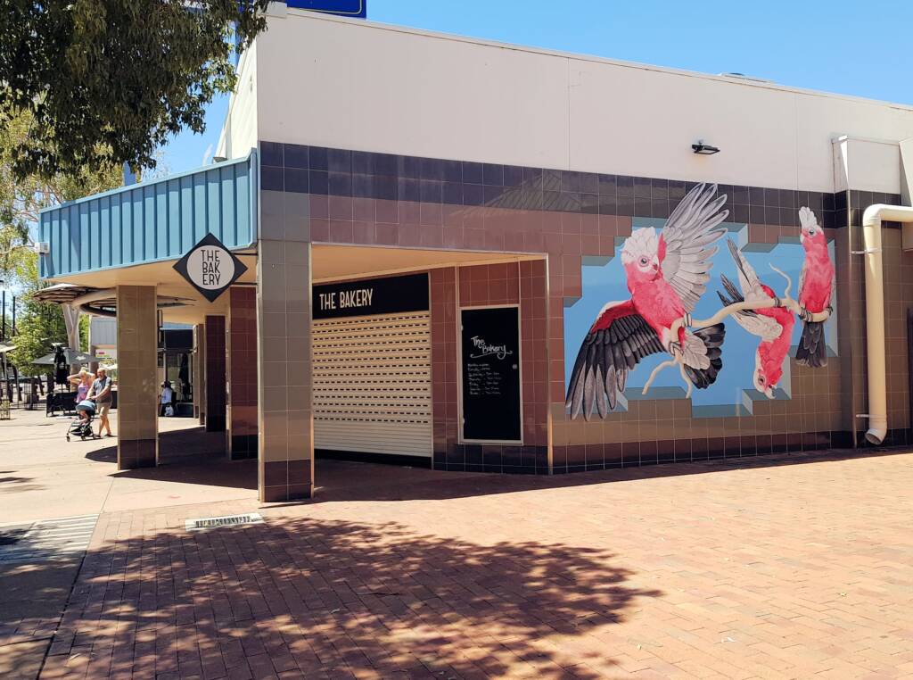 Galahs - Artist Alison Hittmann
