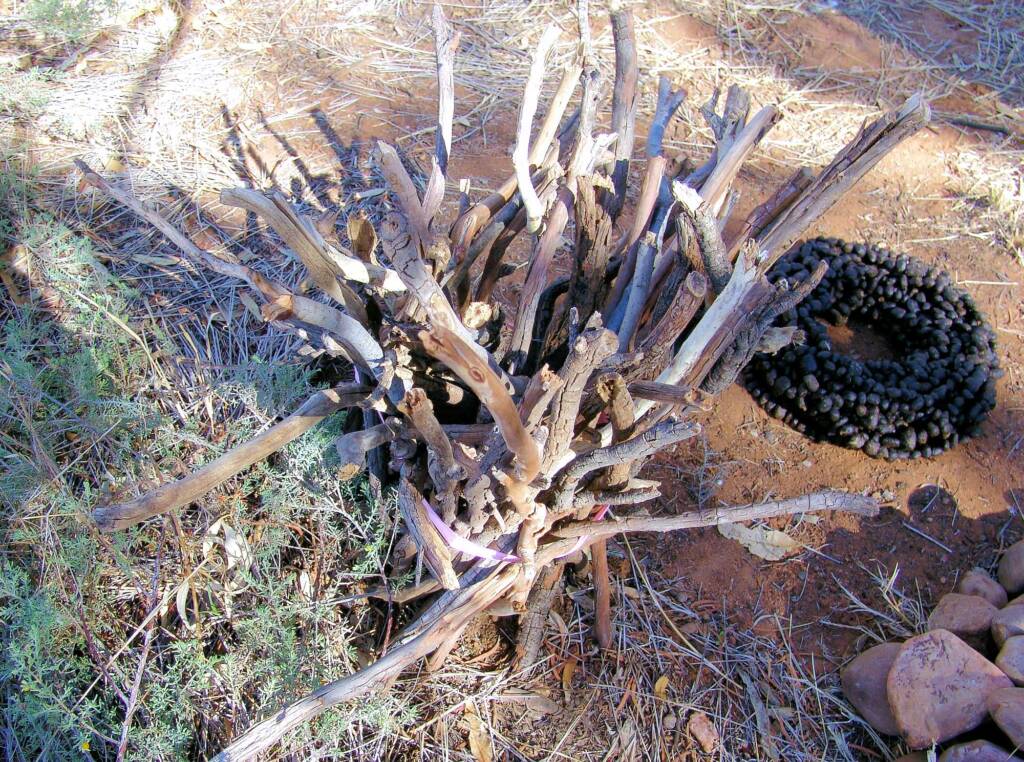 A Pile of Stones, A Bundle of Sticks & Black Gold, Artist Sue Taylor - (stones, sticks, roo poo and string)