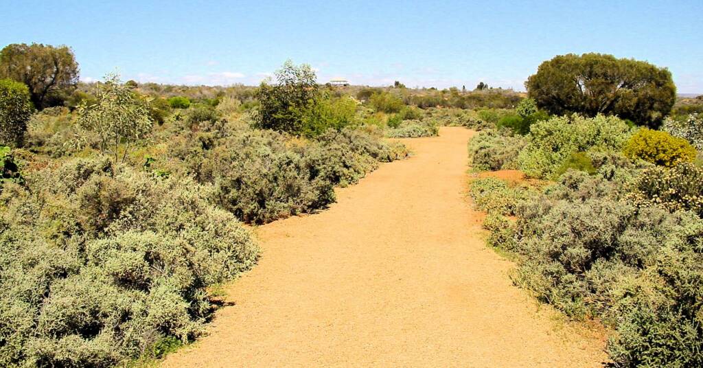 Australian Arid Lands Botanic Garden