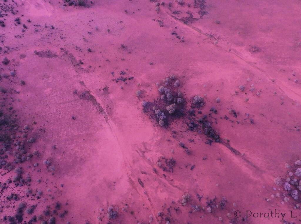 Alice Springs Hot Air Ballooning, Central Australia