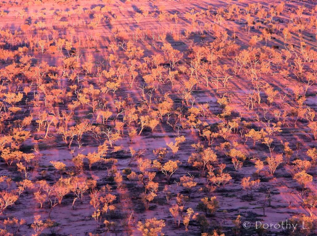 Alice Springs Hot Air Ballooning over Central Australia