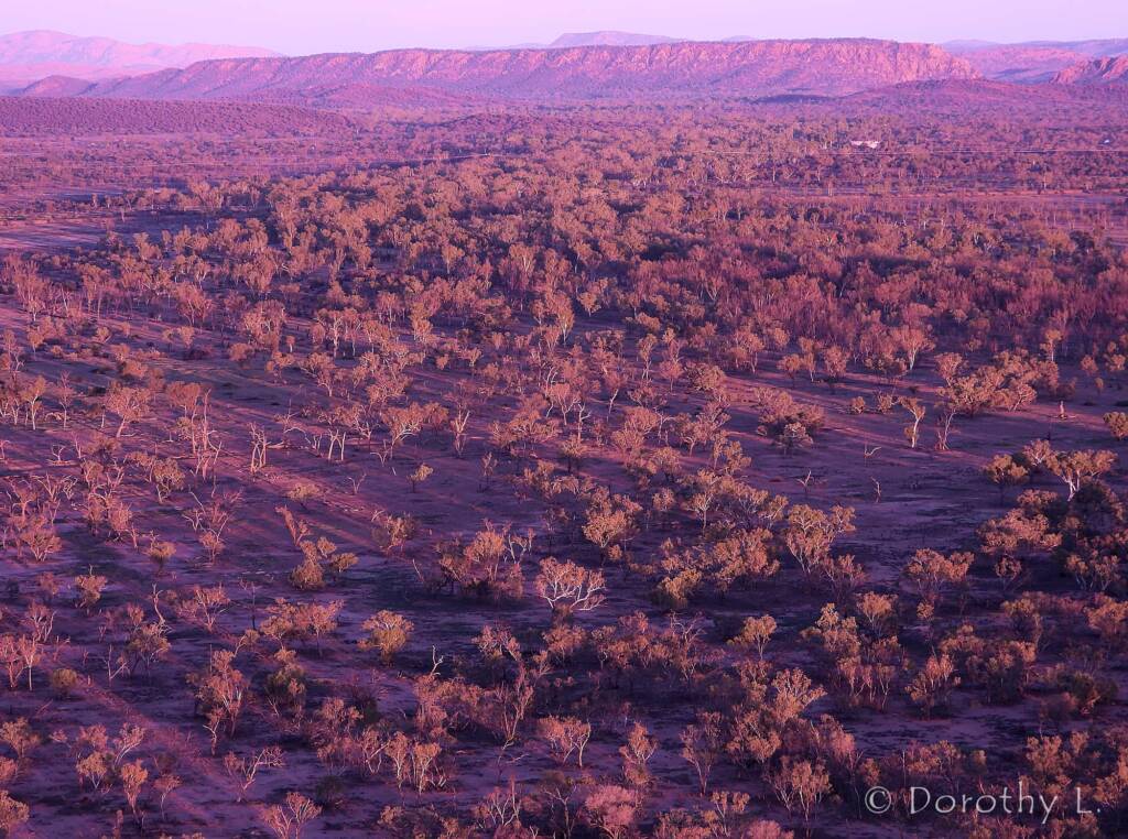 Alice Springs Hot Air Ballooning over Central Australia