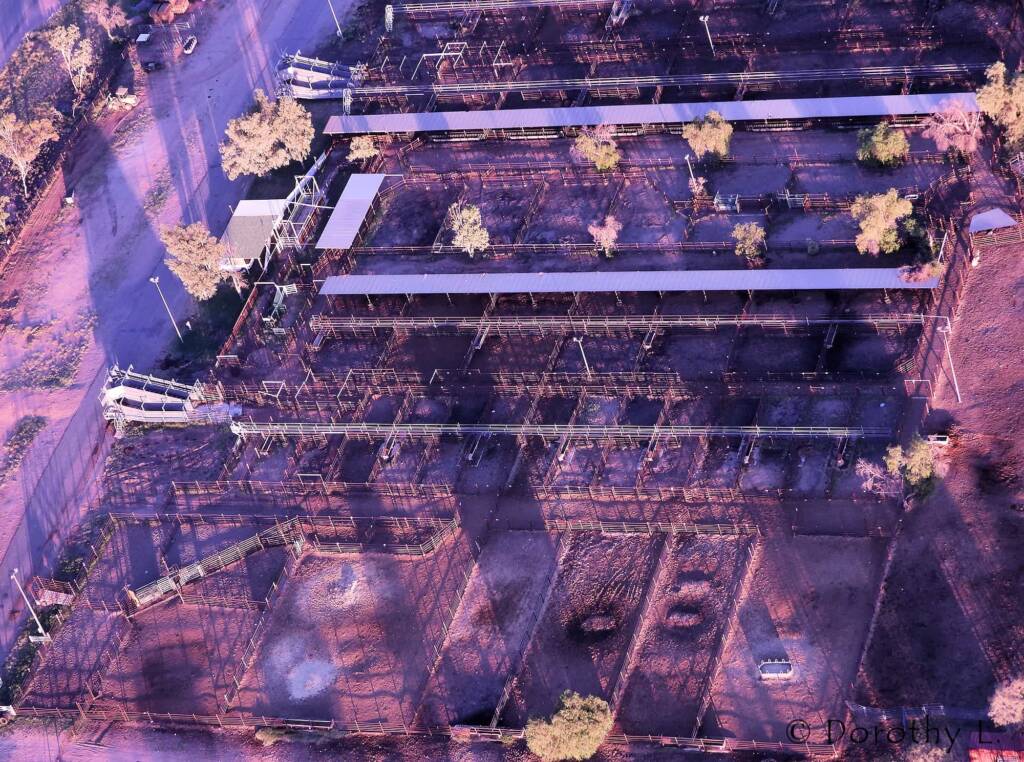 Cattle yard from the air - Hot Air Ballooning over Central Australia