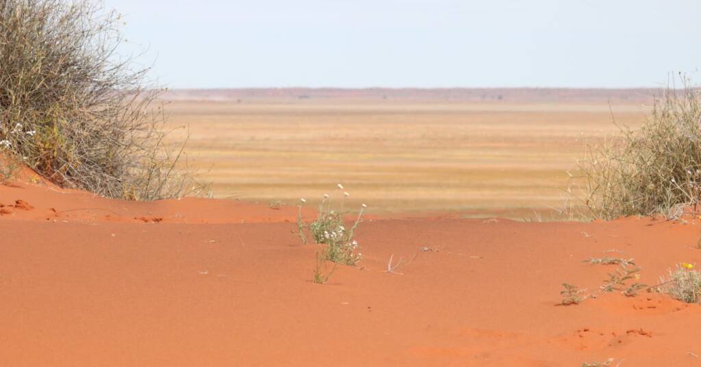 Sand country and sand dunes, Binns Track