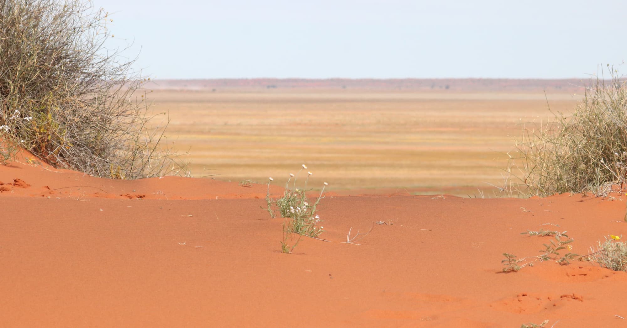 Sand country and sand dunes, Binns Track