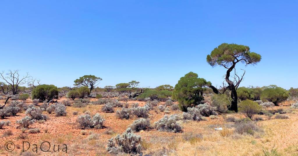 The changing landscape as you travel south from Cooper Pedy