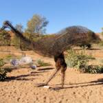 Emu by artist Al Bethune, 2008 Exhibition (Permanent display Olive Pink Botanic Garden, Alice Springs)