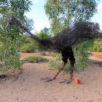 Emu by artist Al Bethune (Permanent display Olive Pink Botanic Garden, Alice Springs)