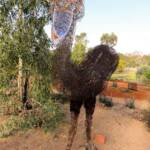 Emu by artist Al Bethune (Permanent display Olive Pink Botanic Garden, Alice Springs)