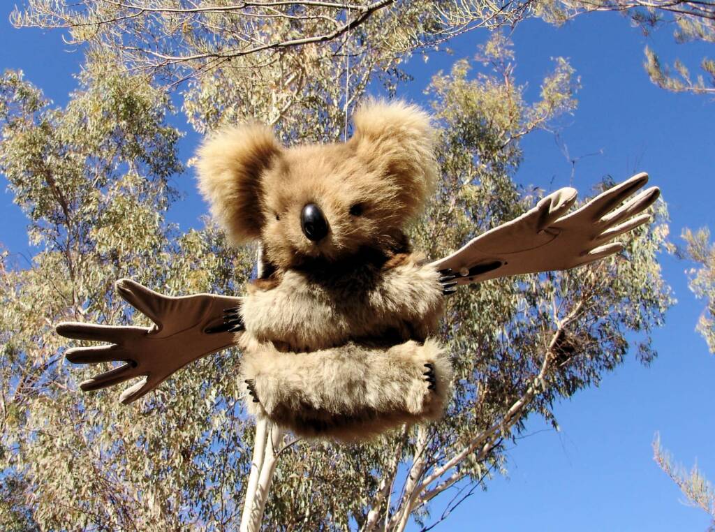 Furry Angels by artist Jenny Taylor (2008 Exhibition, Olive Pink Botanic Garden, Alice Springs)