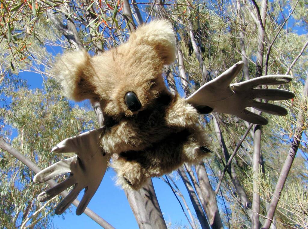 Furry Angels by artist Jenny Taylor (2008 Exhibition, Olive Pink Botanic Garden, Alice Springs)