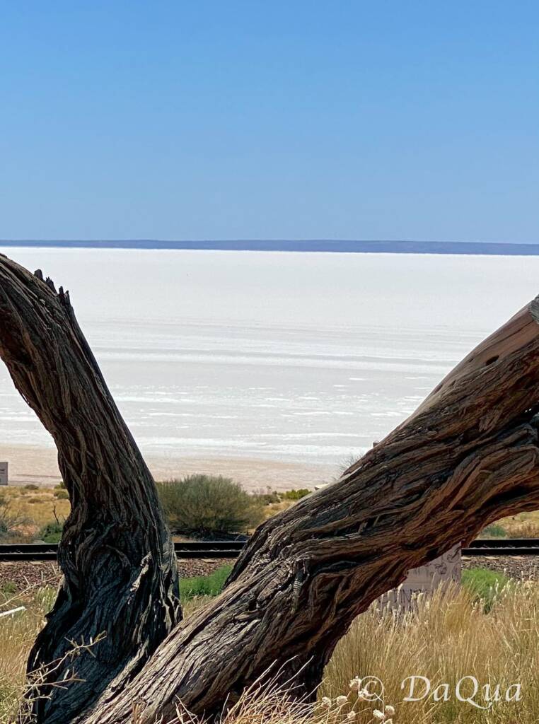 Ghan Track and Salt Lake