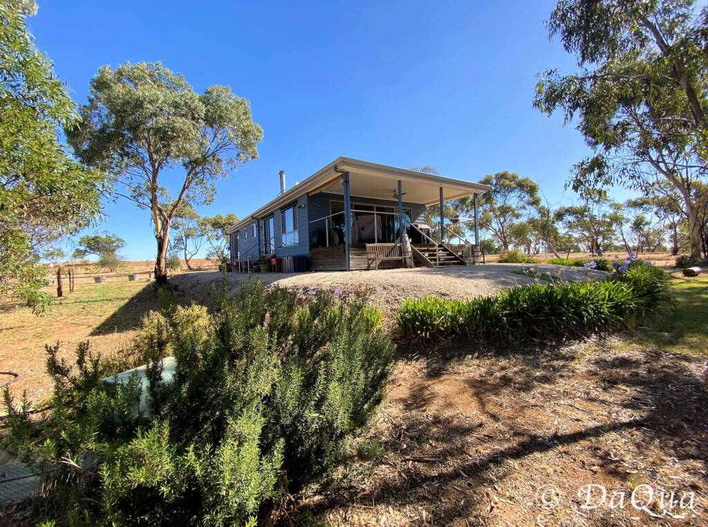 Home amongst the gum trees