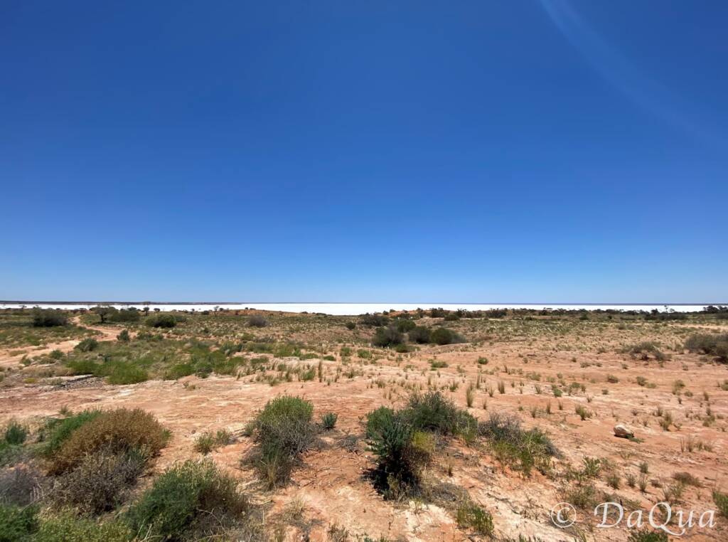Lake Hart, South Australia