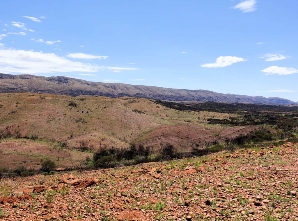 The Neil Hargrave Lookout