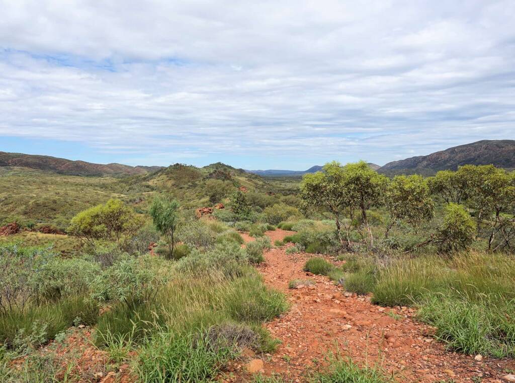 Point Howard Lookout, West Macdonnell Ranges
