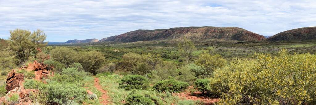 Point Howard Lookout, West Macdonnell Ranges