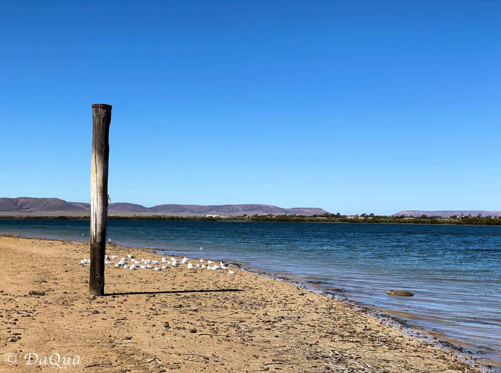 Spencer Gulf, South Australia