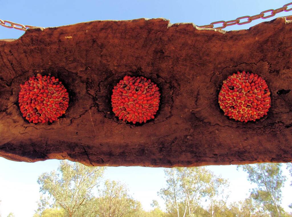 Untitled by artist J9 - (Yaninti seeds, burnt-out log, scrap metal, chain)