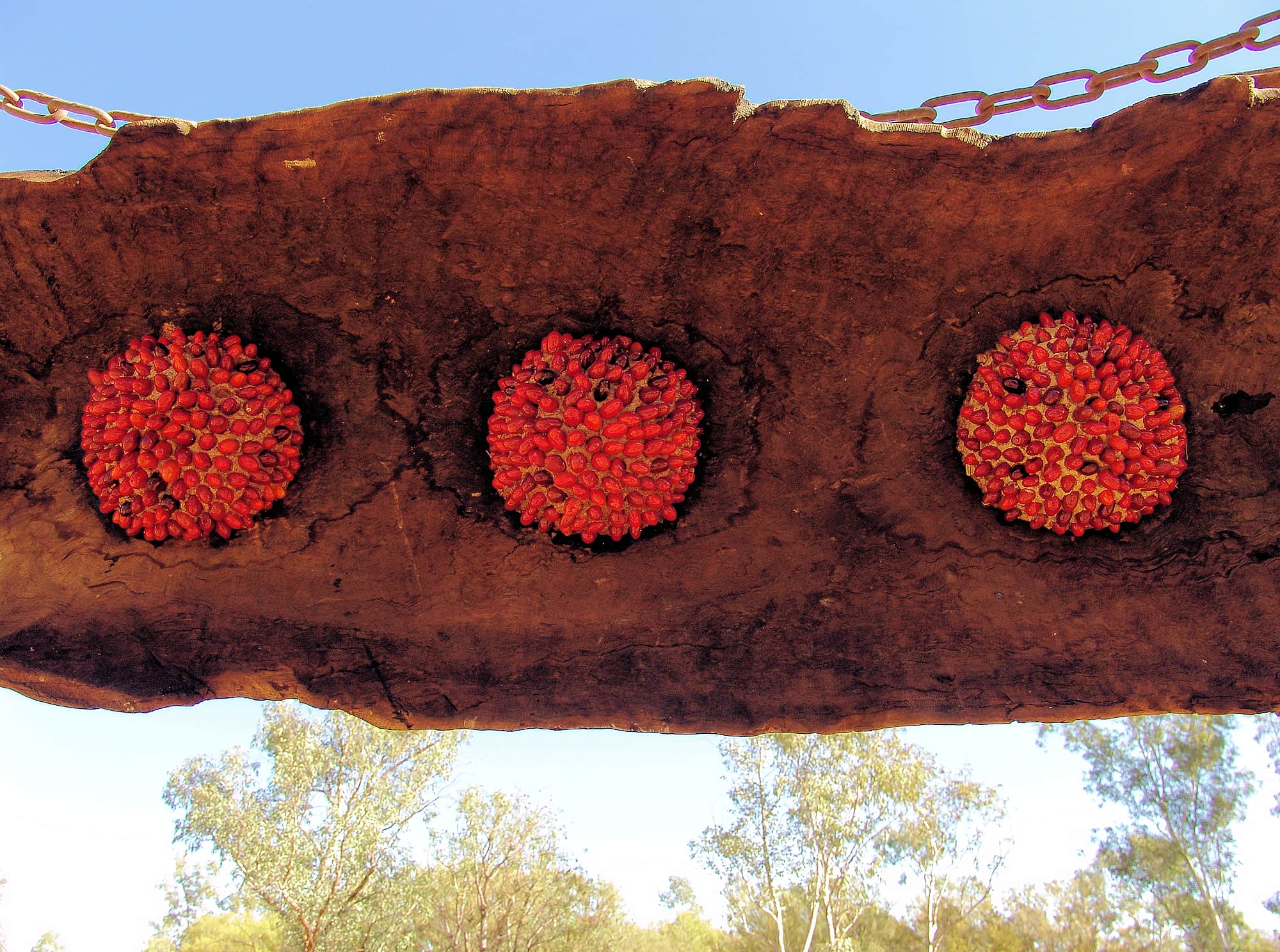 Untitled by artist J9 - (Yaninti seeds, burnt-out log, scrap metal, chain)