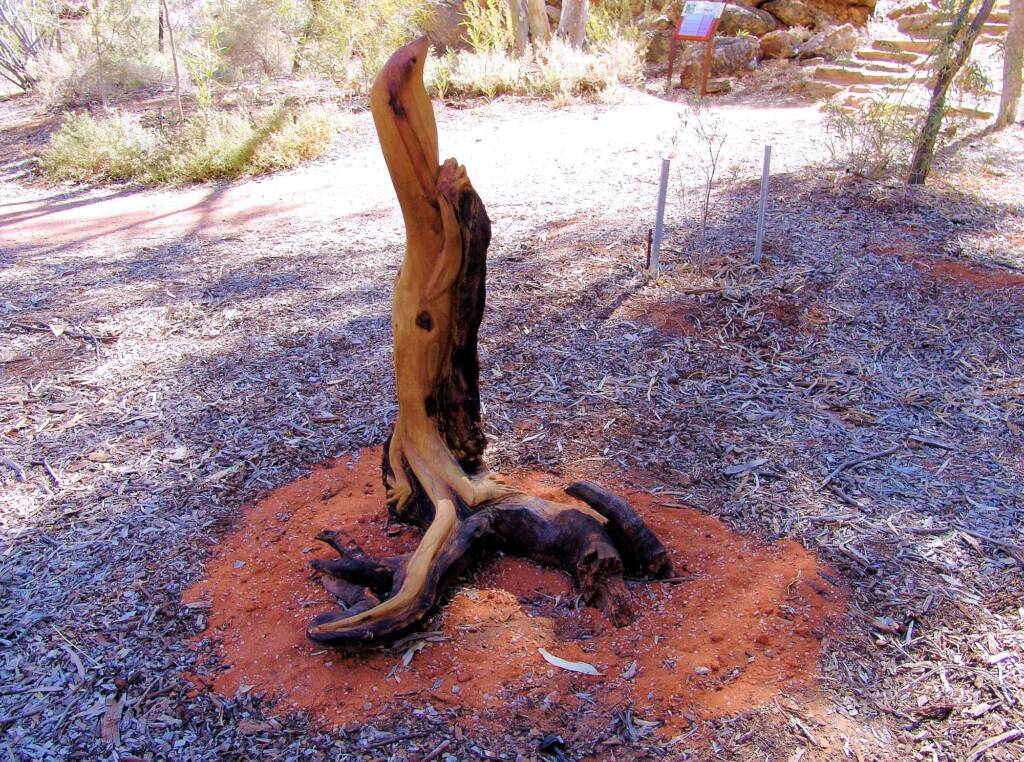 Utju Nintaka, artist Anthony Dent - (corkwood stump)