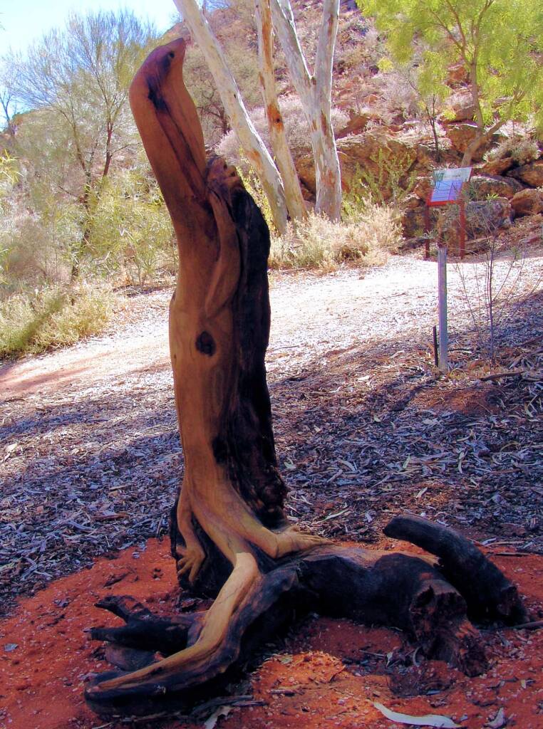 Utju Nintaka, artist Anthony Dent - (corkwood stump)