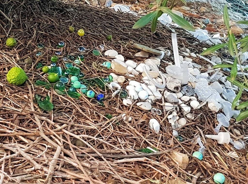 Treasures of our Western Bowerbird
