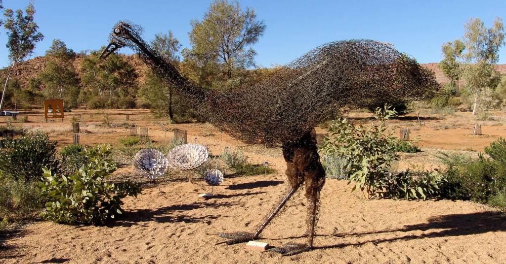 Emu by Al Bethune, Olive Pink Botanic Garden