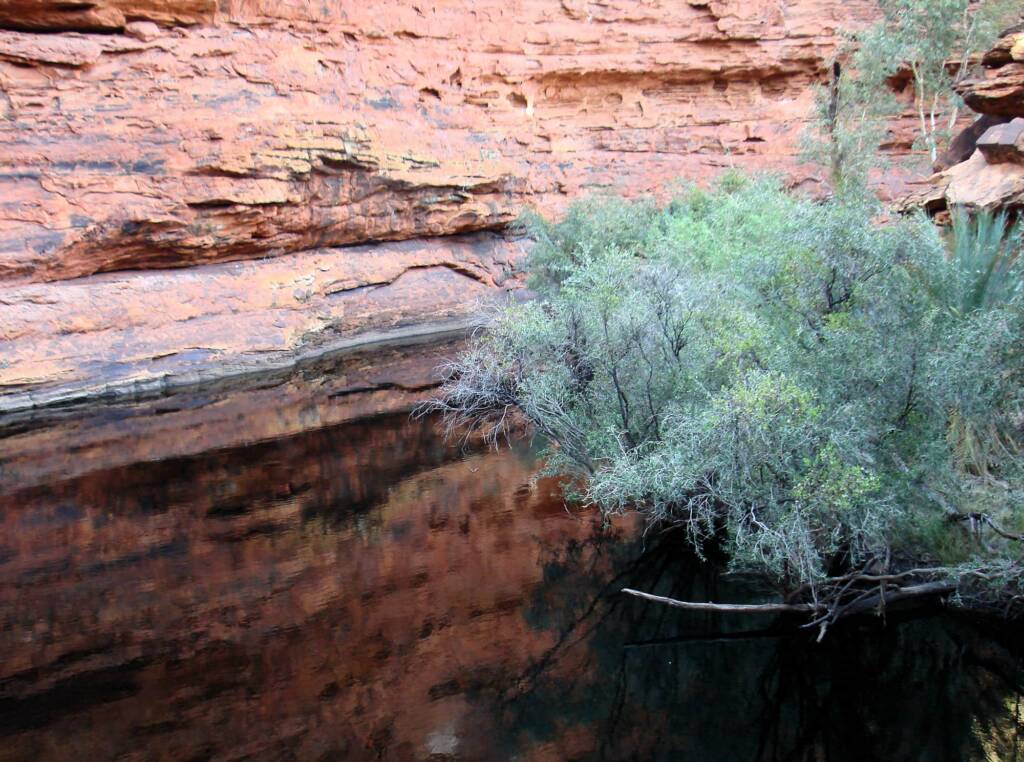 Garden of Eden, Kings Canyon