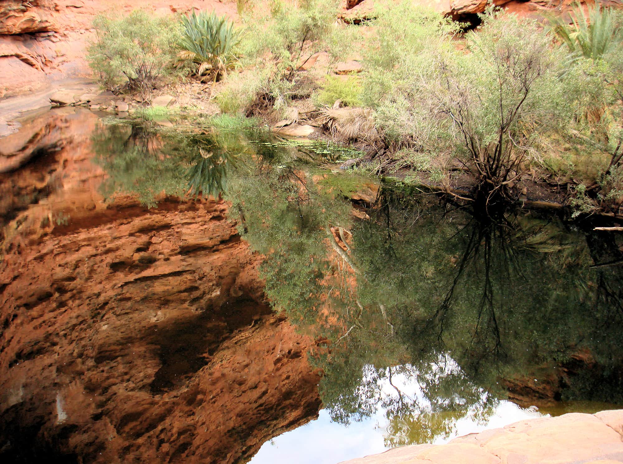 Reflection...