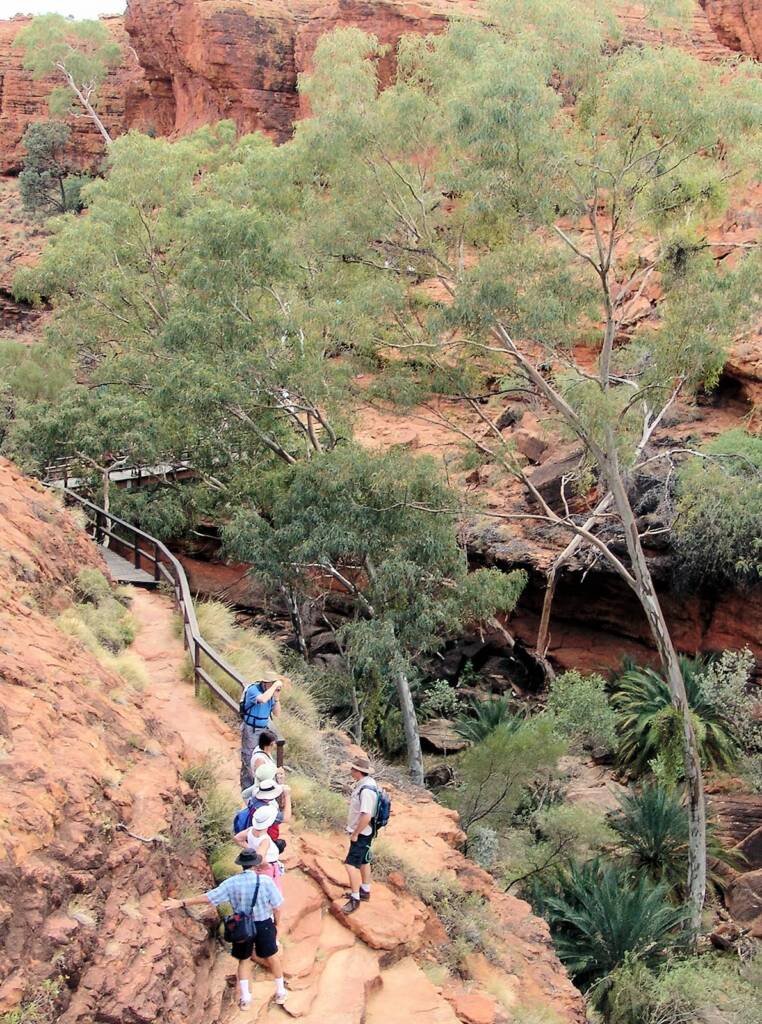 Looking down into Kings Canyon