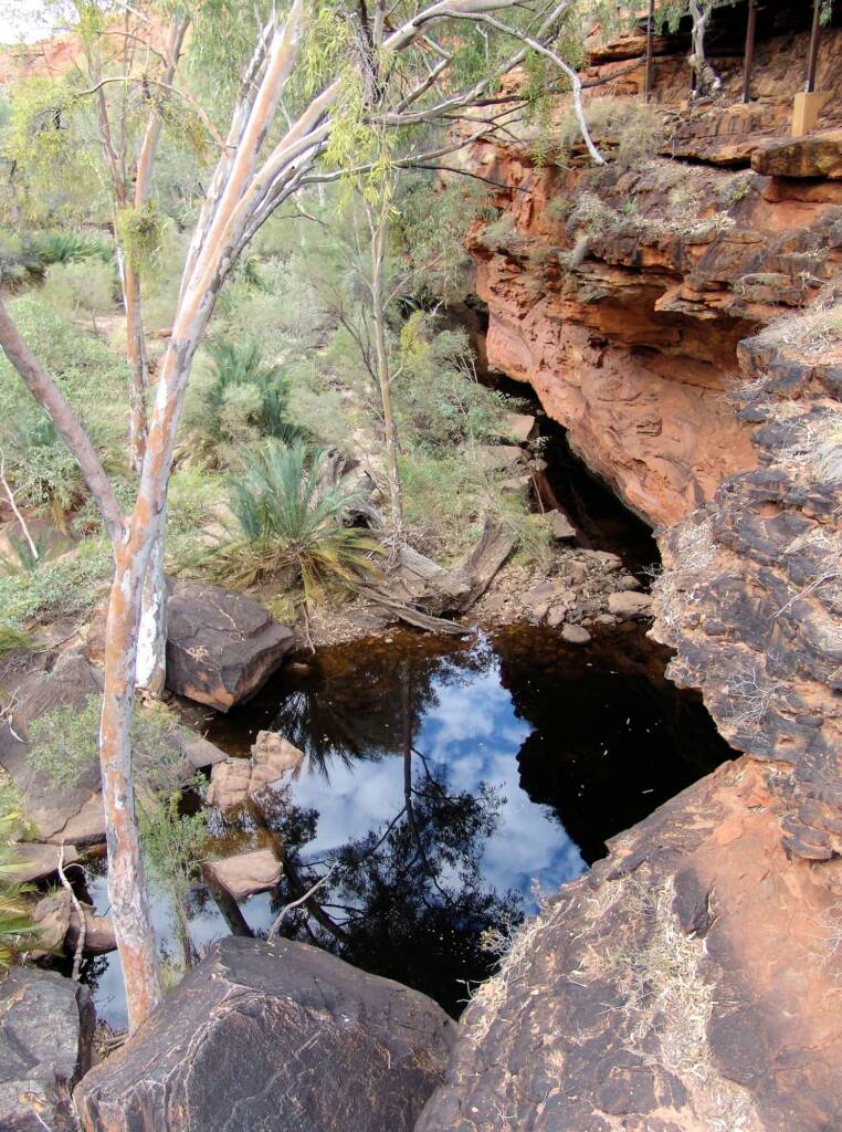 Looking down into Kings Canyon