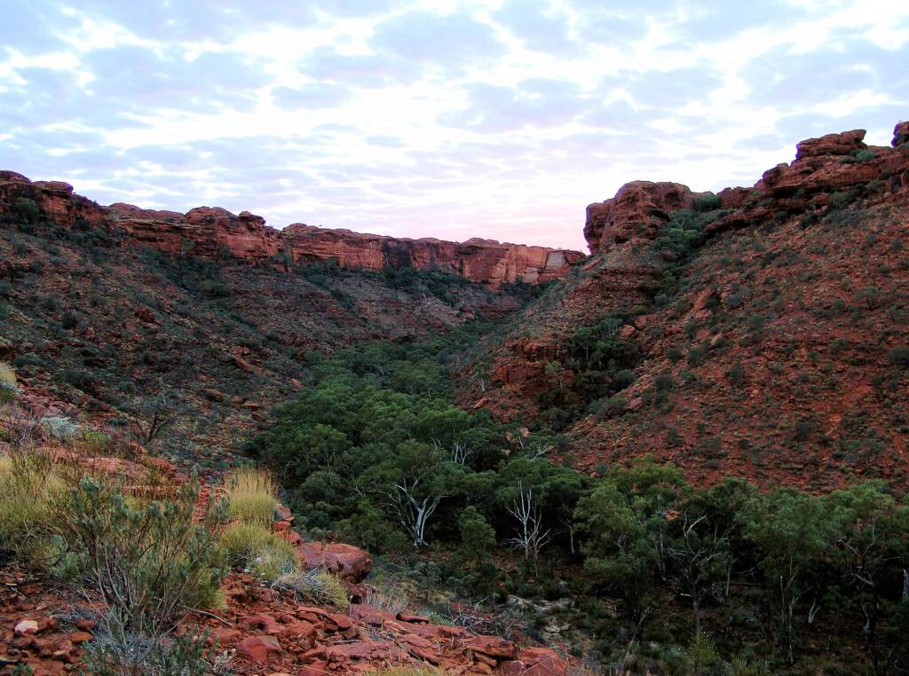 Looking across Kings Canyon, Watarrka National Park