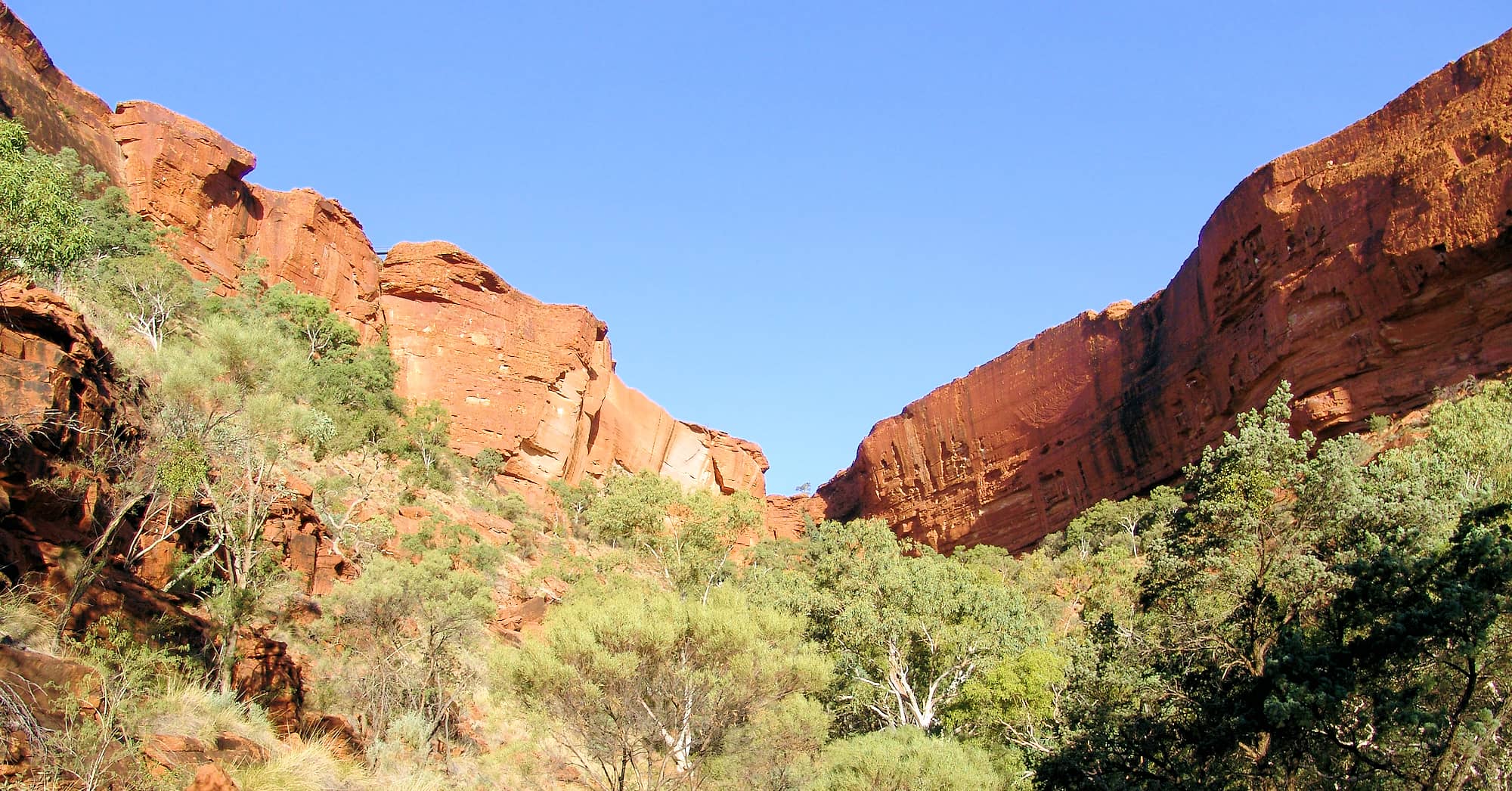 View up to the Rim Walk at Kings Canyon, Watarrka National Park