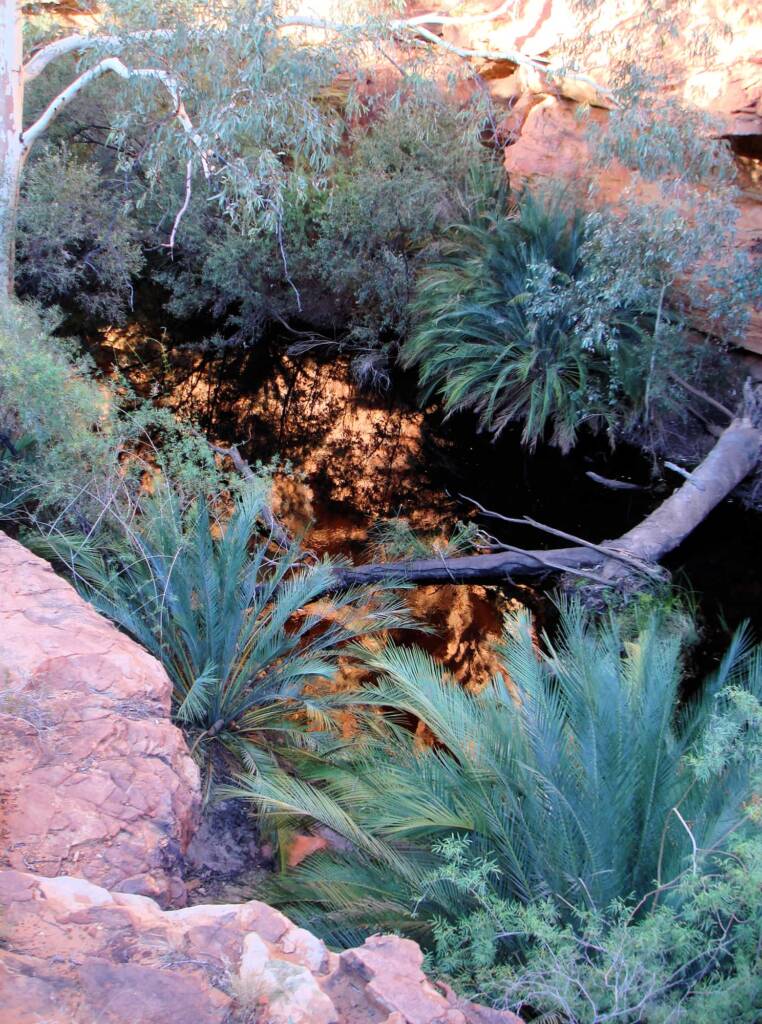 Looking down into the Garden of Eden, Kings Canyon